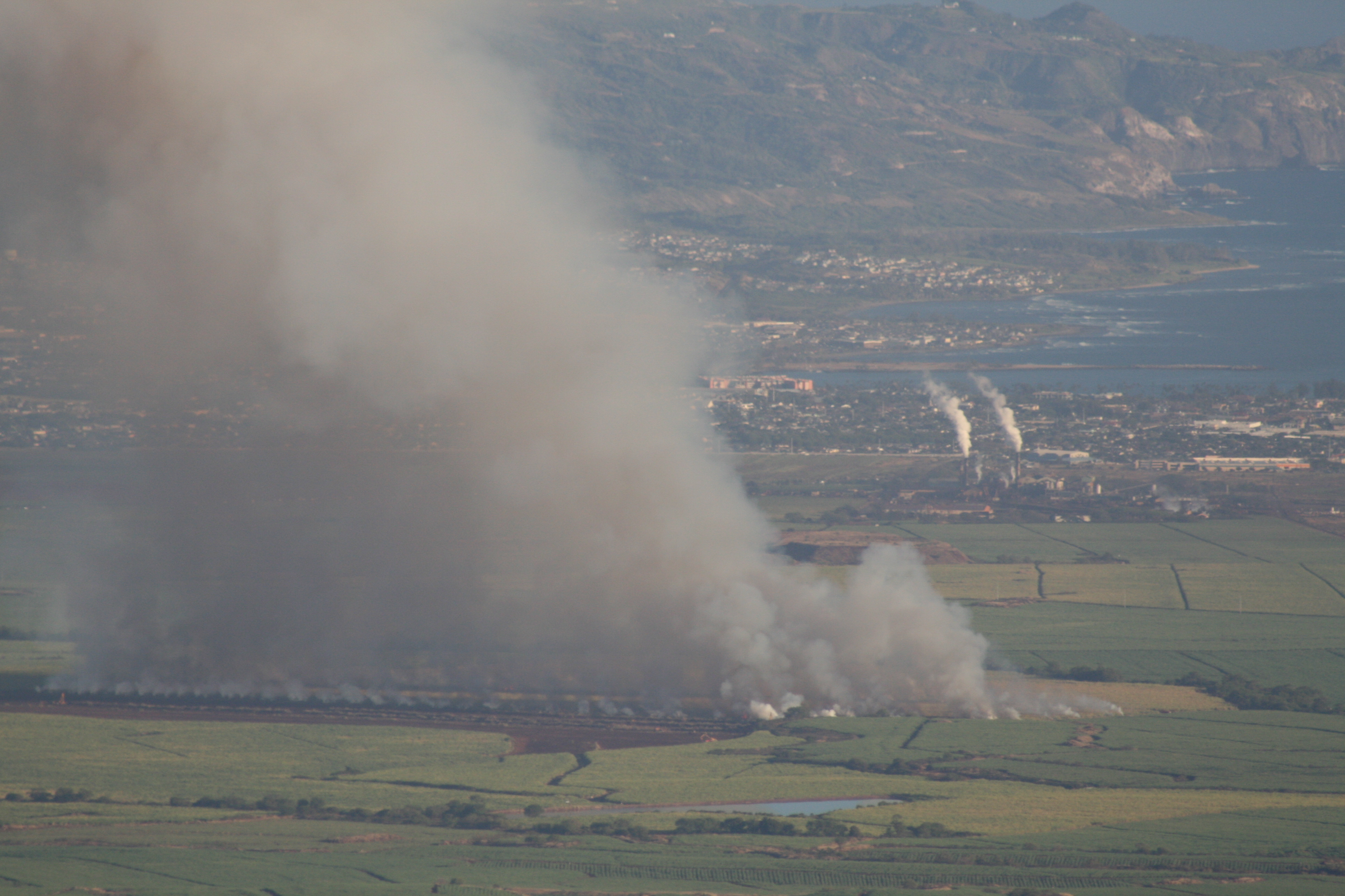 Cane Fire with Power Plants in Background